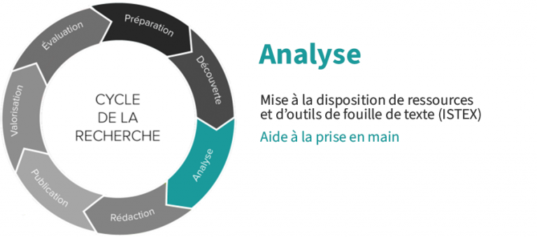 roue-analyse
