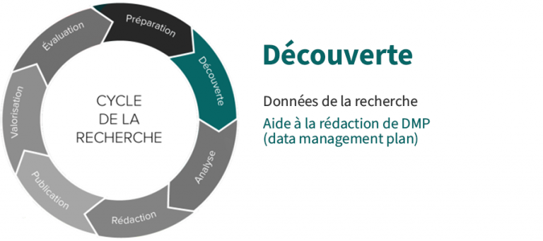 roue-decouverte