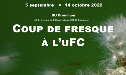 photo de pissenlits sur fond vert