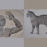 schémas d'un homme et d'un chat s'observant mutuellement