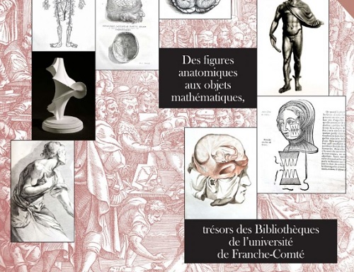 écorchés et modèles mathématiques