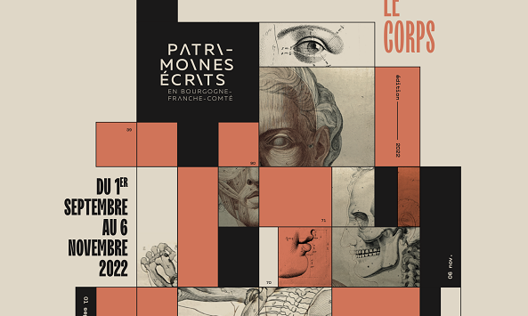 Mosaïque présentant des écorchés de corps humain