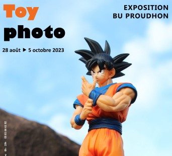 image de figurine de san goku